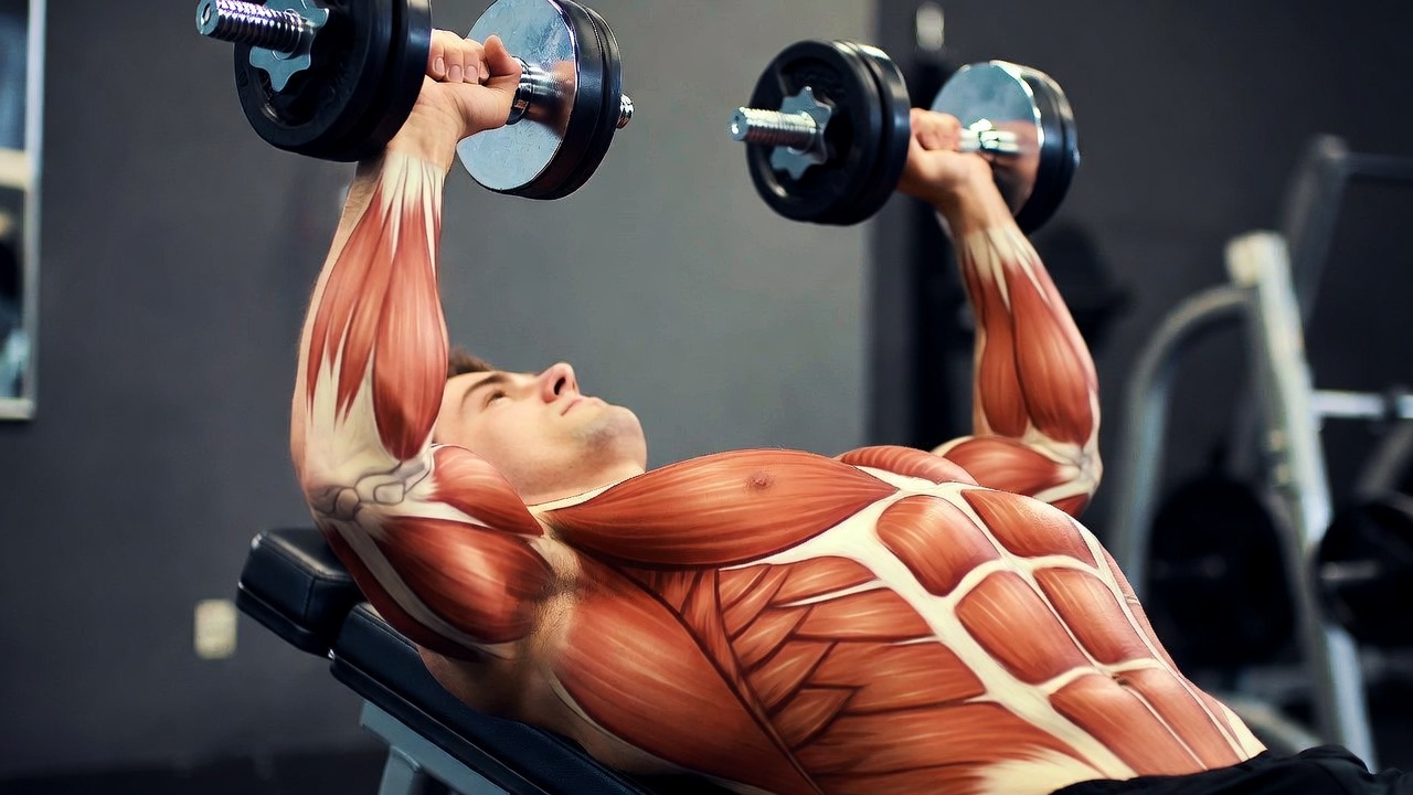 A person doing the incline dumbbell press exercise.